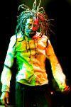 free_buju_4_