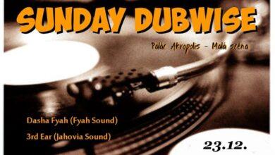 Dubwise 23