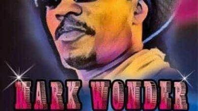 Mark wonder vienna