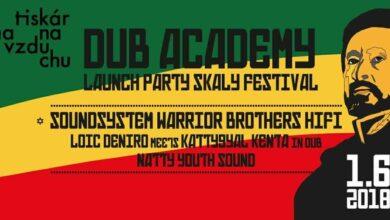 Dub academy